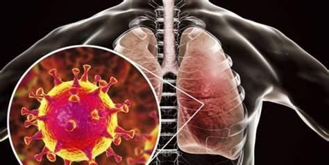 国庆节办酒席会比平时贵吗?深度解析节日宴请的成本与选择 国庆节办酒席会比平时贵吗?深度解析节日宴请的成本与选择