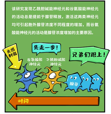 辽宁疫情最新消息2024年,科学应对新常态,筑牢公共卫生防线 辽宁疫情最新消息2024年,科学应对新常态,筑牢公共卫生防线