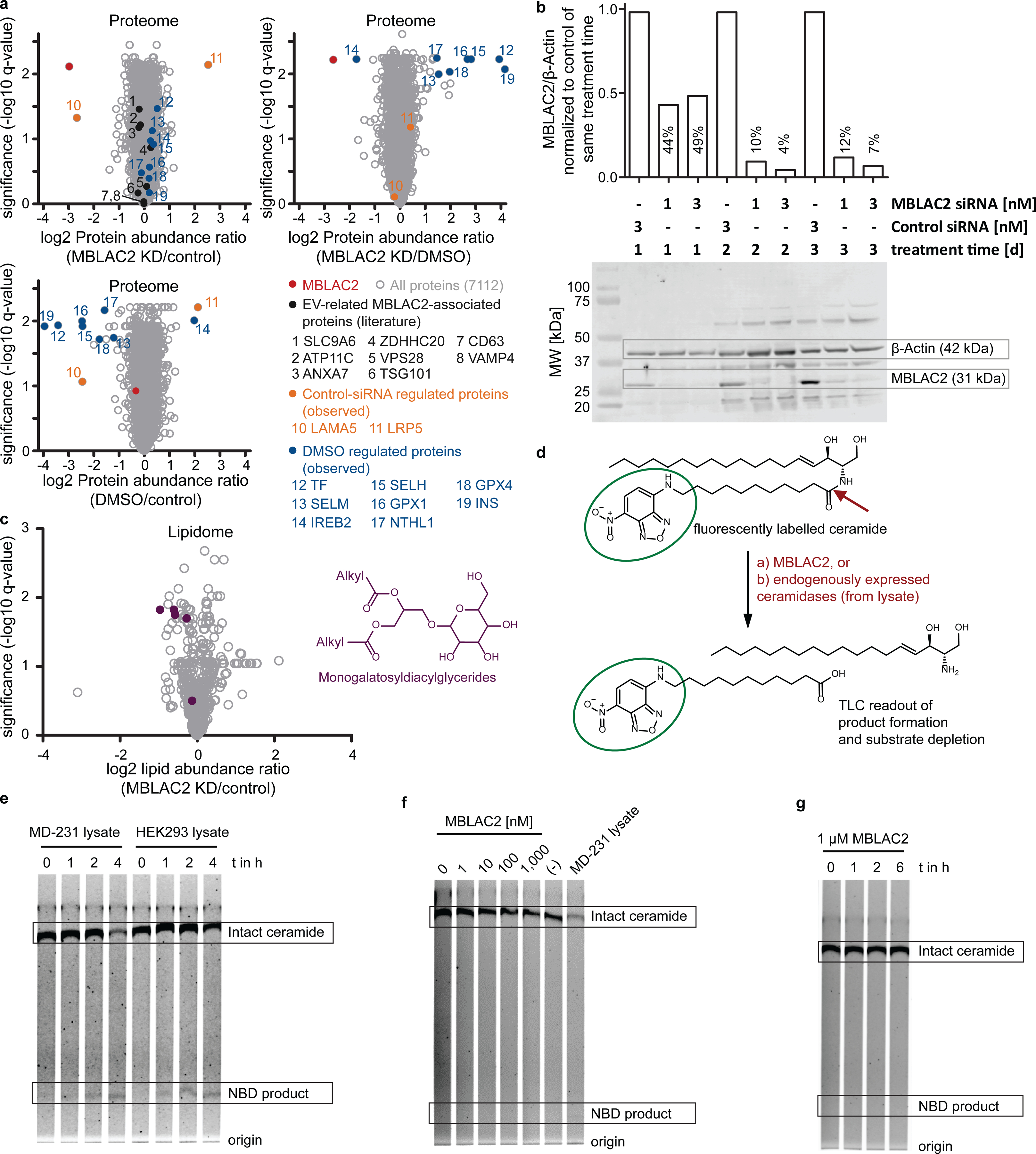 房卡必备教程“微信平台拼十房卡客服在哪里”详细房卡使用教程 房卡必备教程“微信平台拼十房卡客服在哪里”详细房卡使用教程