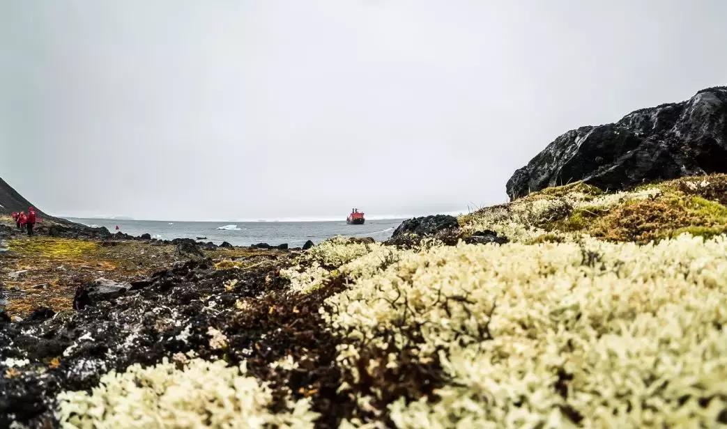 一分钟实测分享“皇豪互娱牛牛哪里买房卡”获取房卡教程-哔哩哔哩