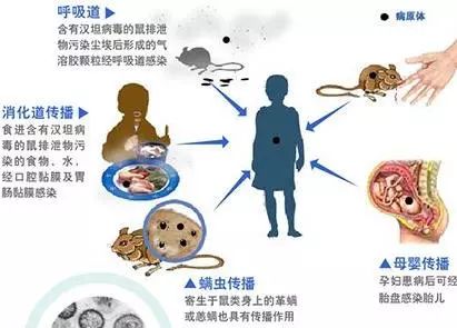 给大家讲解“青鸟大厅怎么买房卡”详细房卡怎么购买教程 给大家讲解“青鸟大厅怎么买房卡”详细房卡怎么购买教程