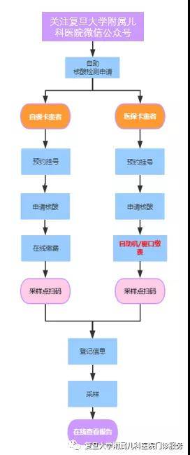 核酸结果查询时间全解析,从采样到手机显示的完整流程 核酸结果查询时间全解析,从采样到手机显示的完整流程