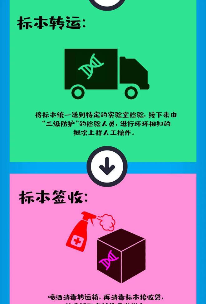 核酸检测阳性,绿码会变色吗?健康码背后的防疫逻辑与个人责任 核酸检测阳性,绿码会变色吗?健康码背后的防疫逻辑与个人责任