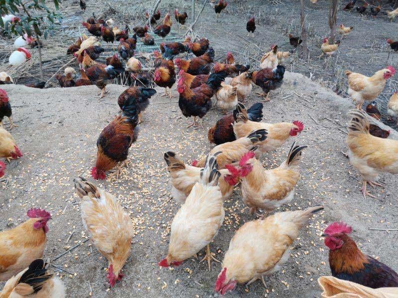 芜湖疫情回望,一座江城的坚韧与温情 芜湖疫情回望,一座江城的坚韧与温情