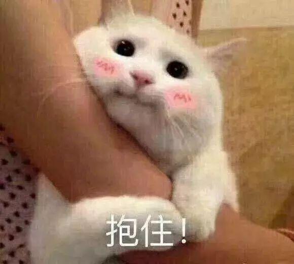 房卡必备教程“微信斗牛牛房卡在哪里买”房卡链接获取