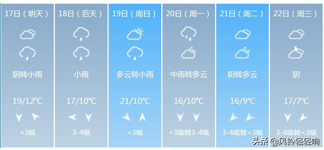 西宁核酸价格,公共卫生与市场经济的平衡之道 西宁核酸价格,公共卫生与市场经济的平衡之道