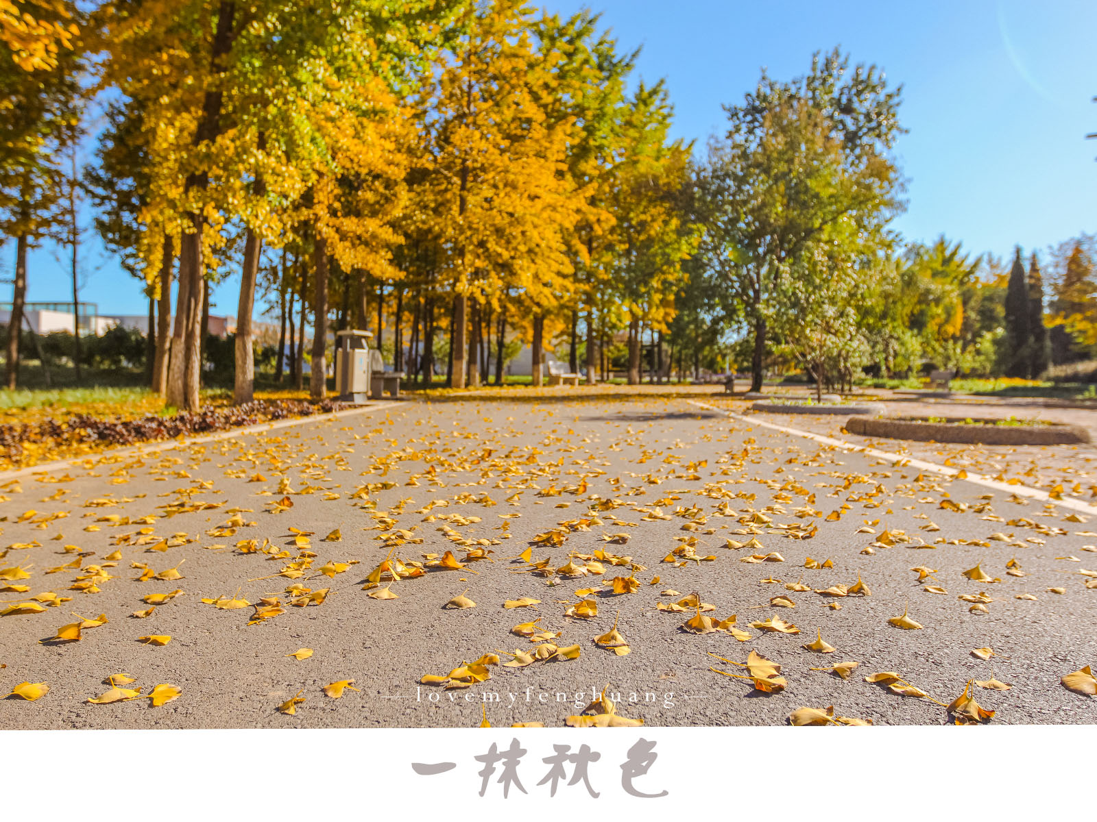 房卡全攻略“微信链接牛牛房卡在哪里买”获取房卡教程-哔哩哔哩 房卡全攻略“微信链接牛牛房卡在哪里买”获取房卡教程-哔哩哔哩