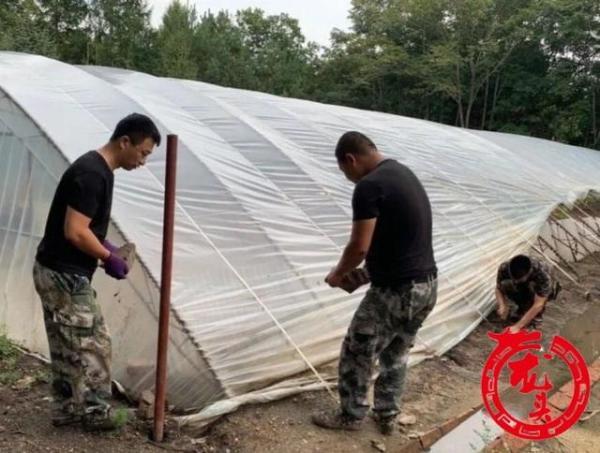 分级防控，高风险、中风险、低风险地区划分标准的科学逻辑与实践意义