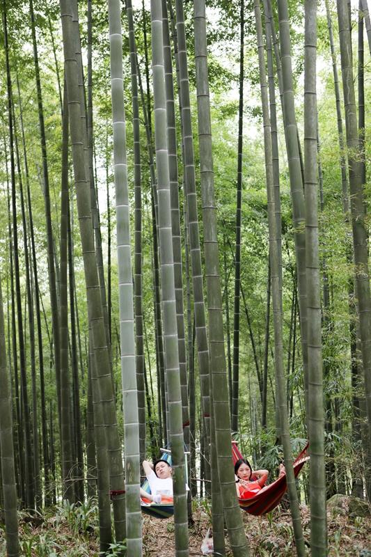 房卡必备教程“微信炸 金花房卡在哪充值”详细房卡教程 房卡必备教程“微信炸 金花房卡在哪充值”详细房卡教程