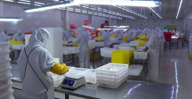 全攻略普及“新八戒金花房卡”详细房卡怎么购买教程 全攻略普及“新八戒金花房卡”详细房卡怎么购买教程