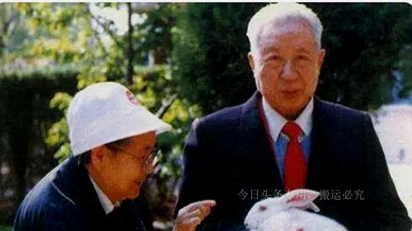 重庆合川,疫情下的坚韧与守望 重庆合川,疫情下的坚韧与守望