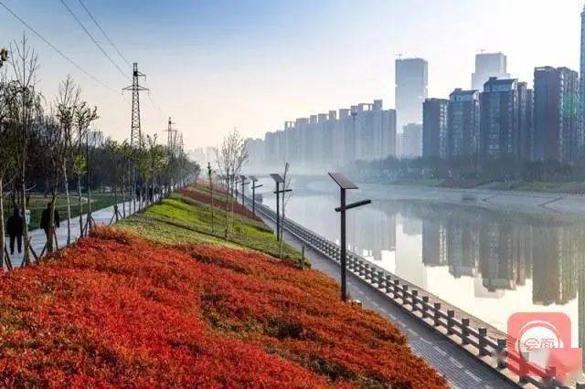 2019年郑州十大民生工程,绘就城市幸福新画卷 2019年郑州十大民生工程,绘就城市幸福新画卷