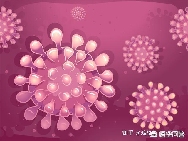 新型冠状感染肺炎早期症状与感冒的区别,如何识别潜在风险 新型冠状感染肺炎早期症状与感冒的区别,如何识别潜在风险