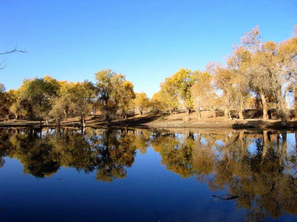 全攻略普及“微信炸 金花房间创建房间步骤详解”详细房卡怎么购买教程