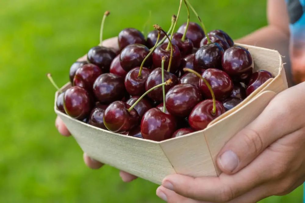 慎终如始,共克时艰—关于应对疫情反扑的思想汇报 慎终如始,共克时艰—关于应对疫情反扑的思想汇报