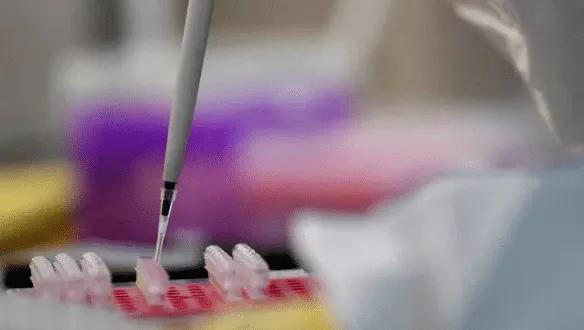 同窗情谊的盛宴,婚姻围城的黄昏?一场同学聚会毁掉了多少家庭 同窗情谊的盛宴,婚姻围城的黄昏?一场同学聚会毁掉了多少家庭