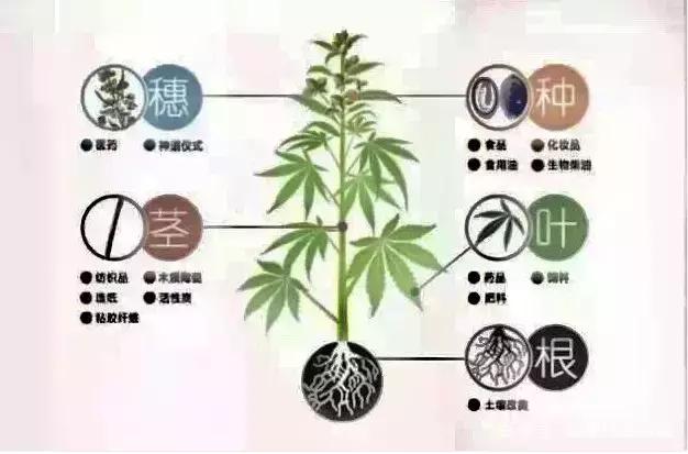 全攻略普及“创建微信斗牛链接房卡怎么弄”详细房卡使用教程 全攻略普及“创建微信斗牛链接房卡怎么弄”详细房卡使用教程