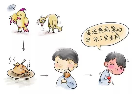 上海禽流感症状,了解、预防与应对指南 上海禽流感症状,了解、预防与应对指南