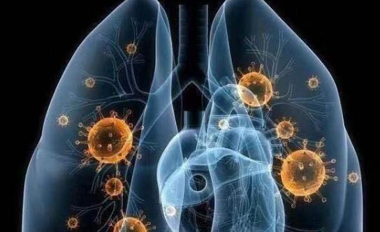 一分钟了解“新道游牛牛大厅金花房卡”详细房卡怎么购买教程 一分钟了解“新道游牛牛大厅金花房卡”详细房卡怎么购买教程