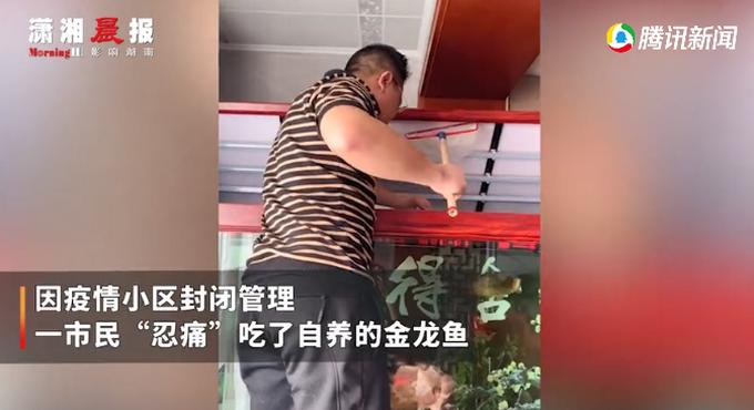 石家庄疫情最新消息发布机制,透明化防控构筑市民安全网 石家庄疫情最新消息发布机制,透明化防控构筑市民安全网