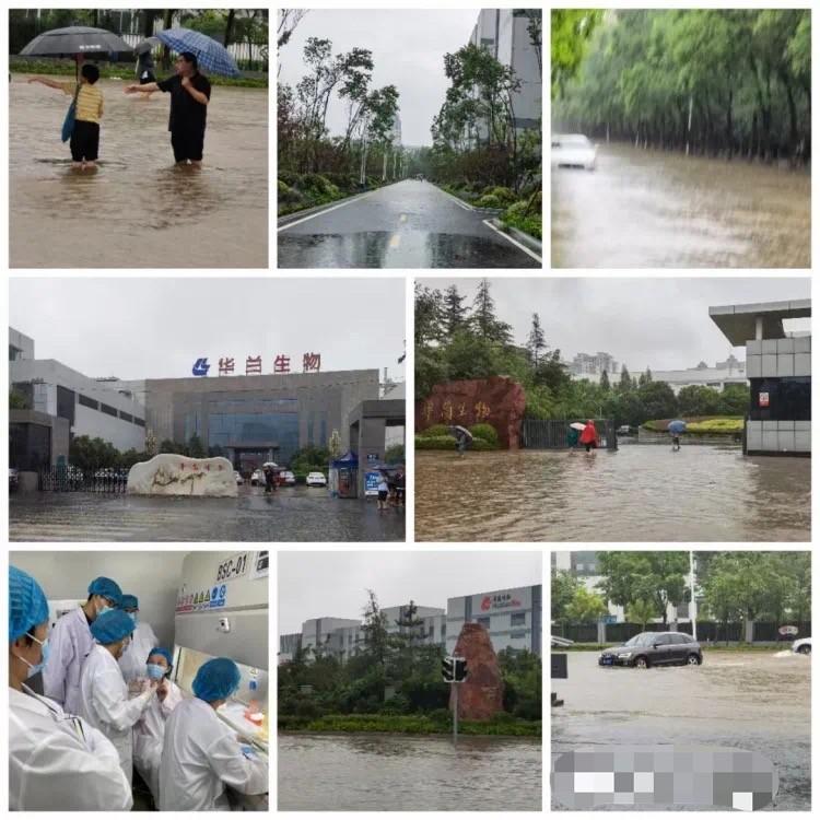 河南新乡疫情最新通报,今日新增本土病例持续下降,防控措施成效显著 河南新乡疫情最新通报,今日新增本土病例持续下降,防控措施成效显著