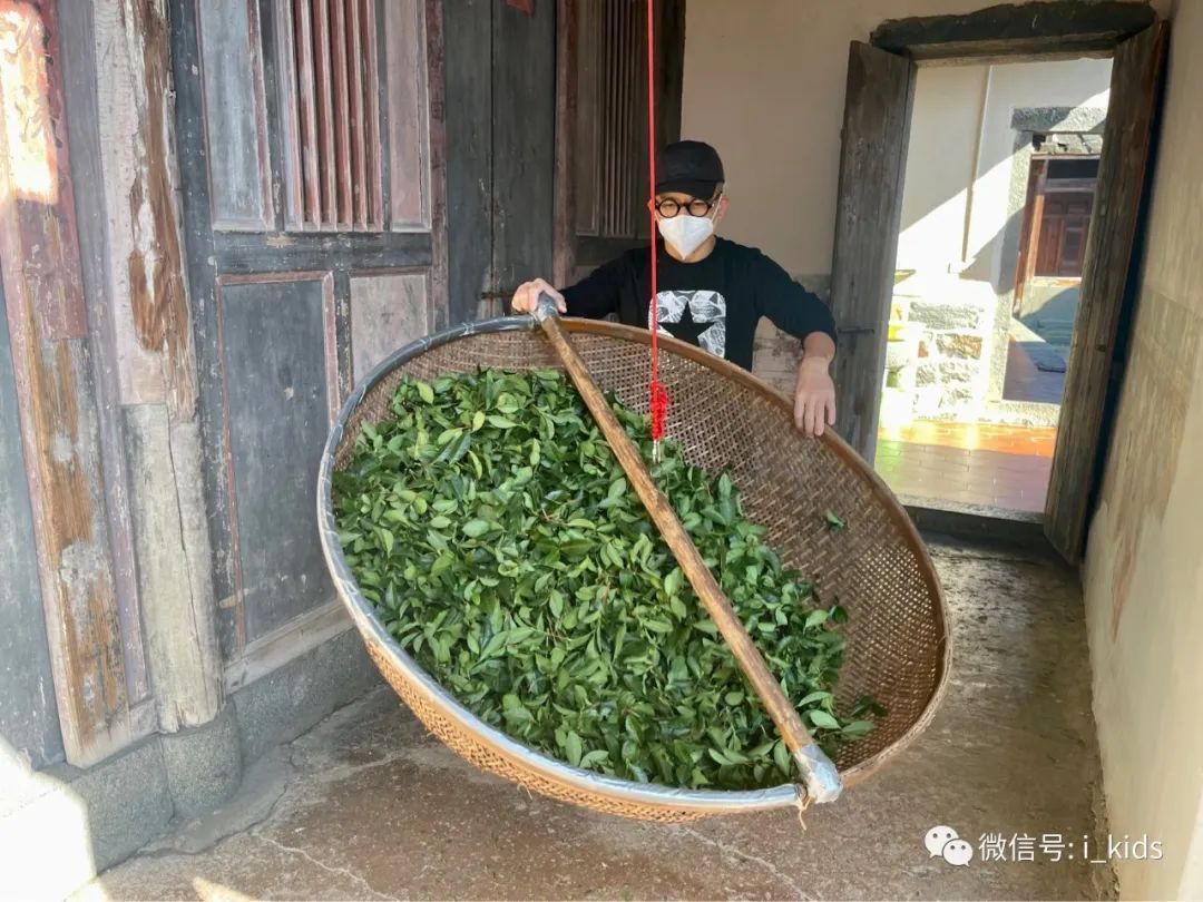 安溪疫线春节,铁观音飘香处的坚守与温情 安溪疫线春节,铁观音飘香处的坚守与温情