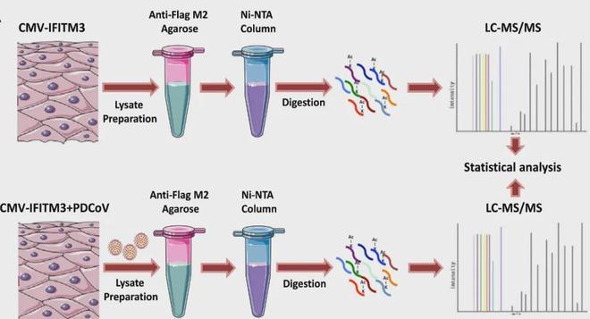 房卡必备教程“微信房卡斗牛牛有挂吗”房卡详细充值 房卡必备教程“微信房卡斗牛牛有挂吗”房卡详细充值