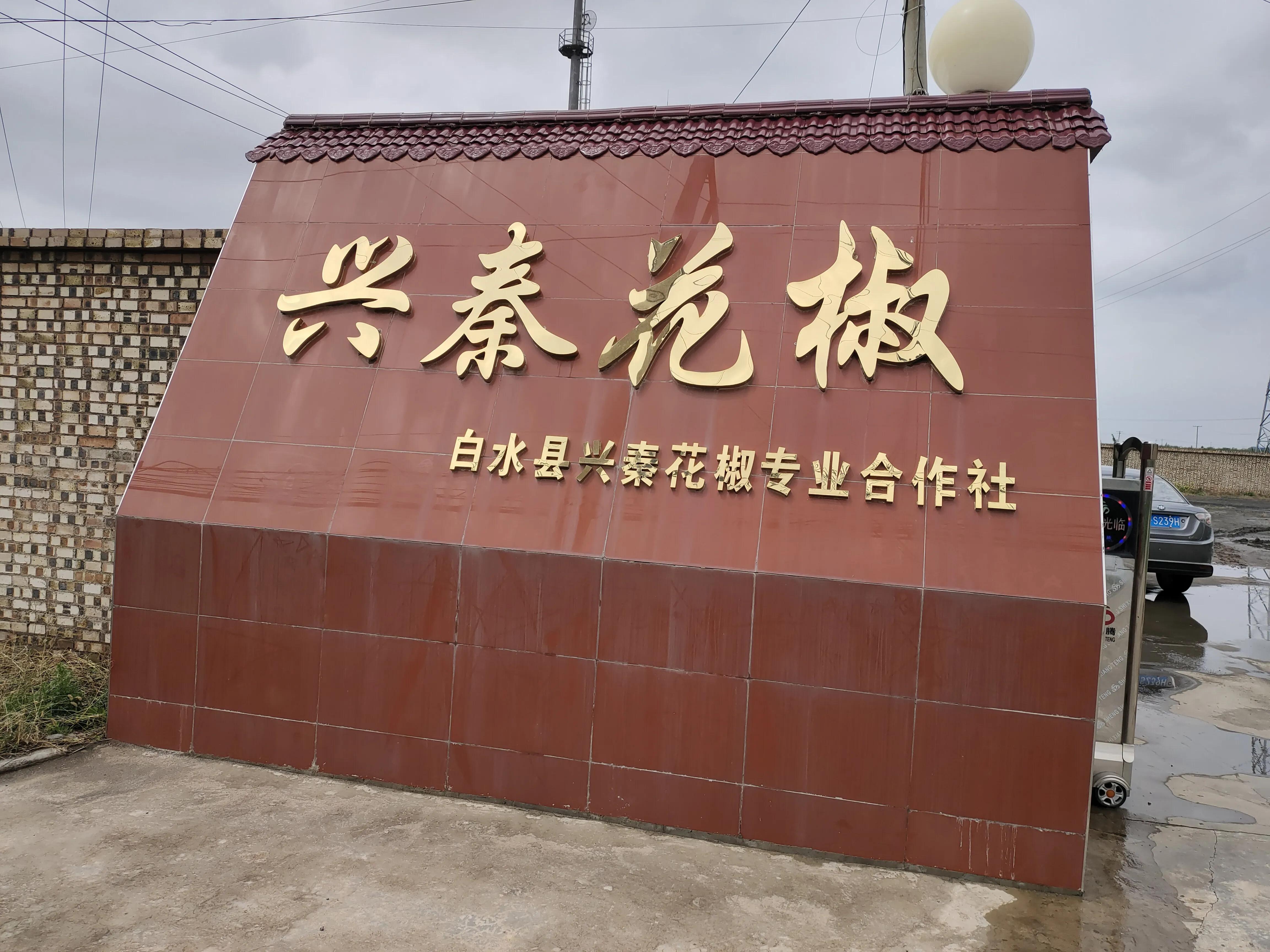 房卡必备教程“卡农大厅在哪里买房卡	”详细房卡使用教程