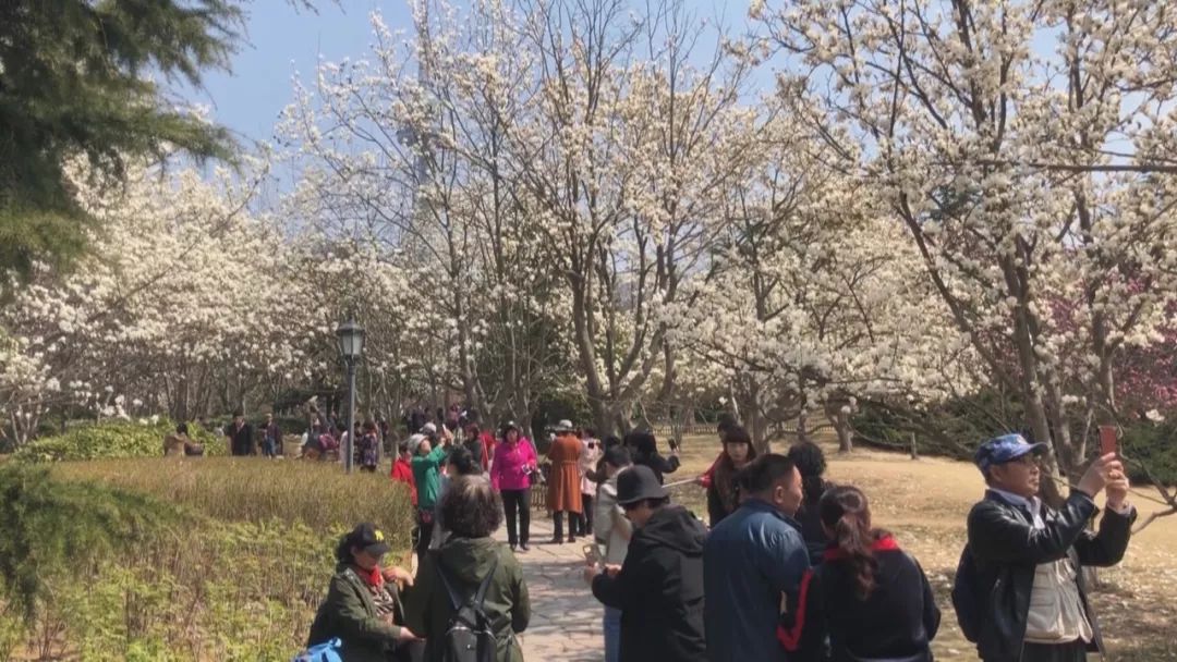 清明时节，三天假期里的文化寻根与生命沉思