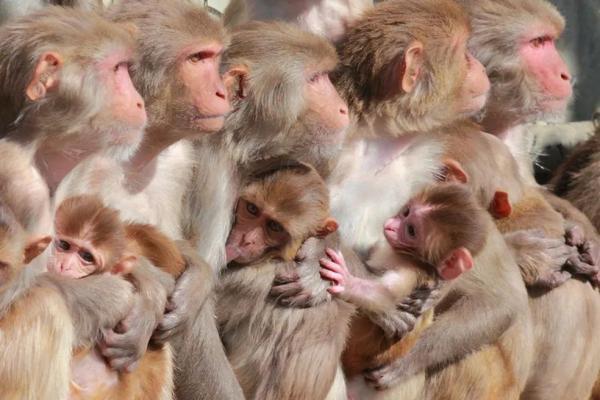 一分钟介绍使用“皇豪互娱在哪买房卡”详细房卡怎么购买教程 一分钟介绍使用“皇豪互娱在哪买房卡”详细房卡怎么购买教程