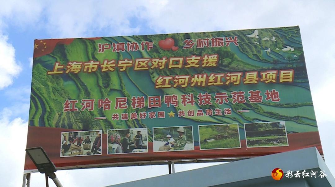 给大家讲解“拼三张金花房卡哪里买?”详细房卡使用教程 给大家讲解“拼三张金花房卡哪里买?”详细房卡使用教程