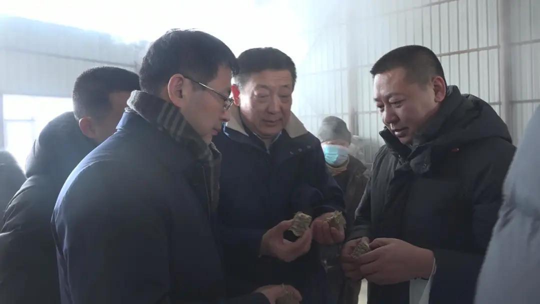 绥化市发布疫情防控最新公告,科学精准应对,筑牢健康防线 绥化市发布疫情防控最新公告,科学精准应对,筑牢健康防线