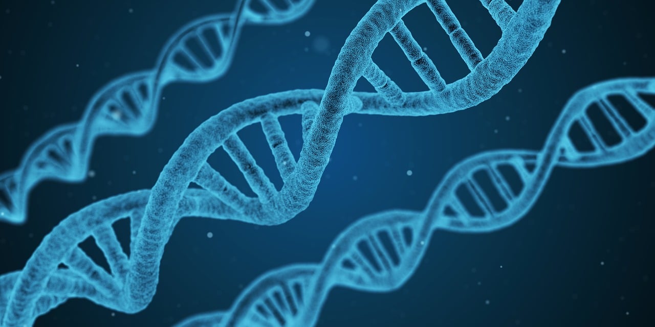 科学精准防疫,筑牢健康屏障—详解新冠防疫十条措施 科学精准防疫,筑牢健康屏障—详解新冠防疫十条措施