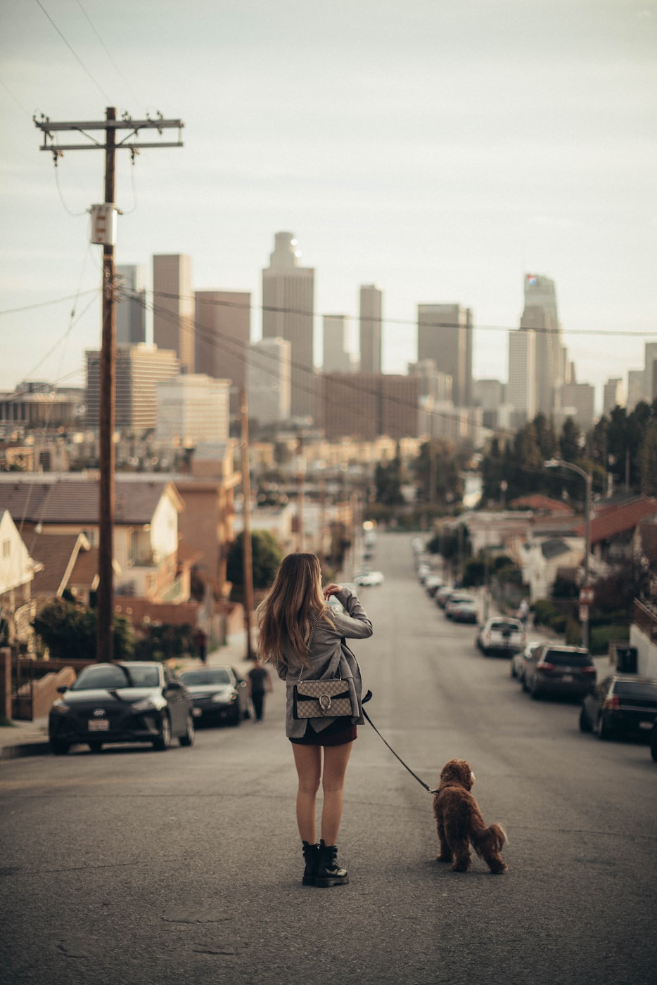 常凯儿子，在历史与未来的交汇处寻找自我