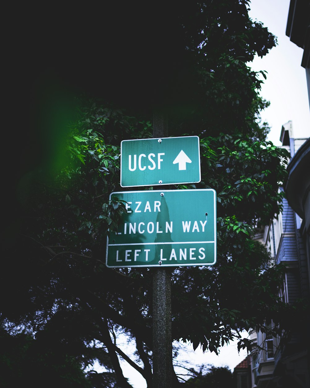 疫情免费退改,危机中的责任担当与信任重塑 疫情免费退改,危机中的责任担当与信任重塑