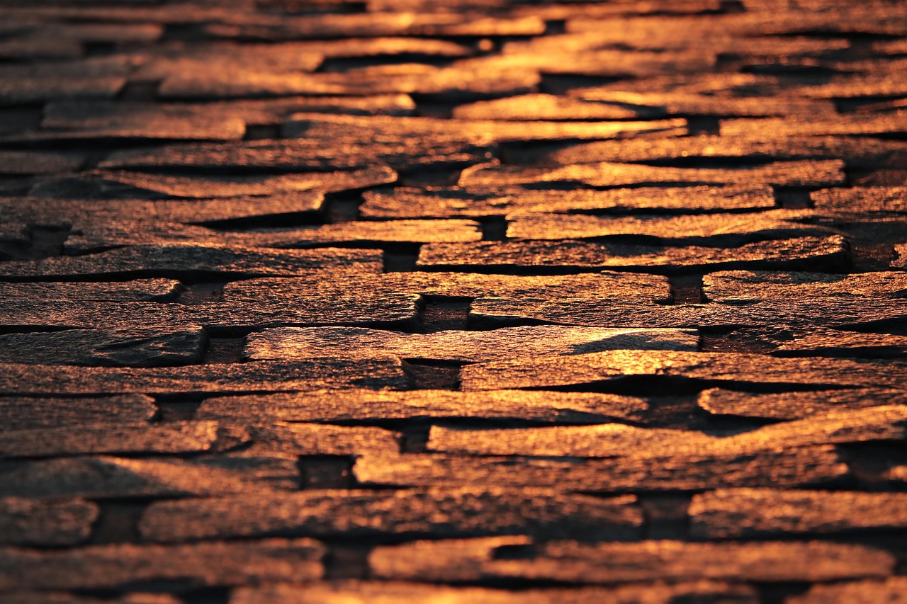 2020年高速公路免费政策全解析,背景、实施与长远影响 2020年高速公路免费政策全解析,背景、实施与长远影响