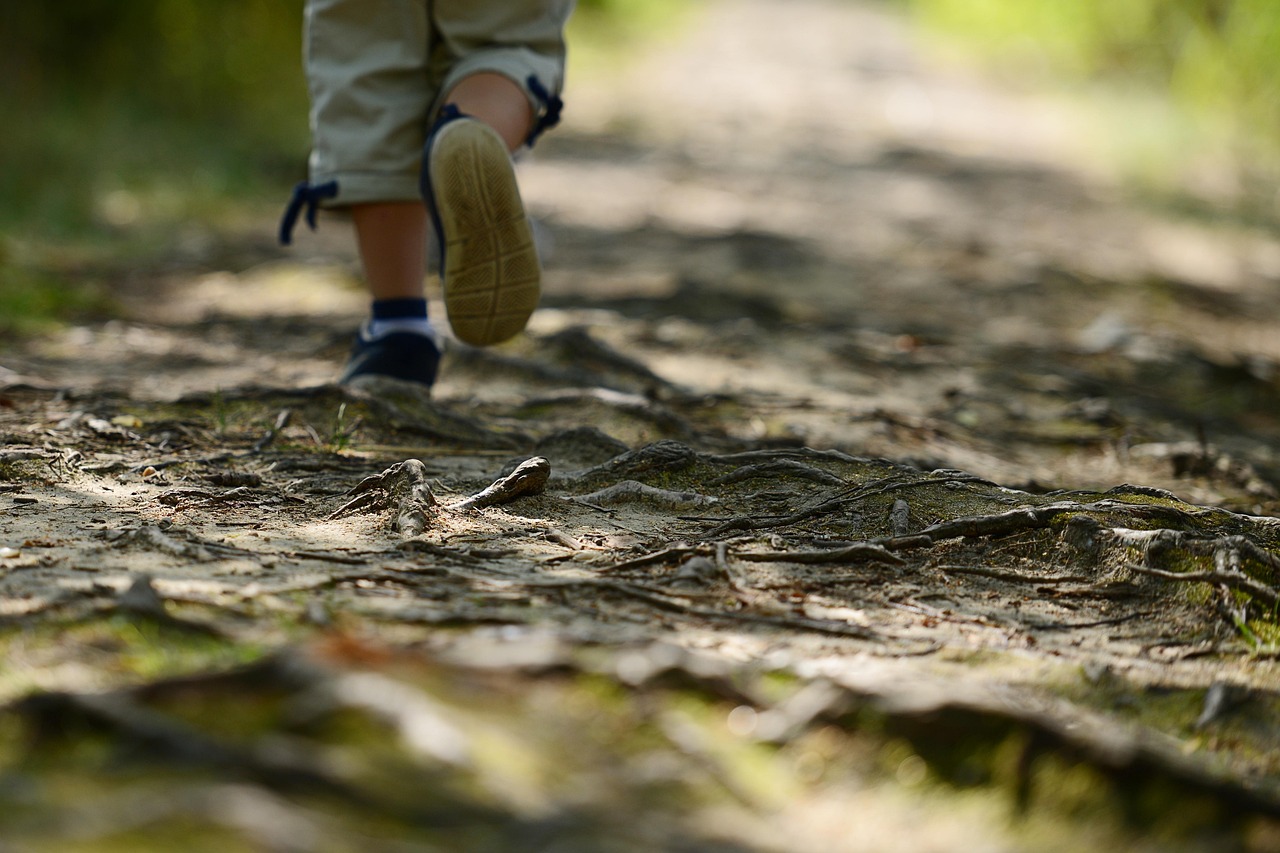返乡路上的郑州,疫情下的迁徙与守望 返乡路上的郑州,疫情下的迁徙与守望