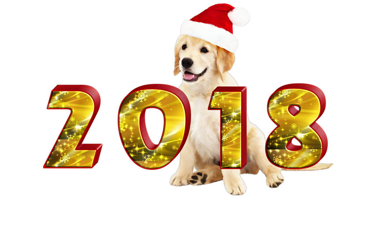 2013年元旦放假安排详解,三天假期背后的意义与启示 2013年元旦放假安排详解,三天假期背后的意义与启示