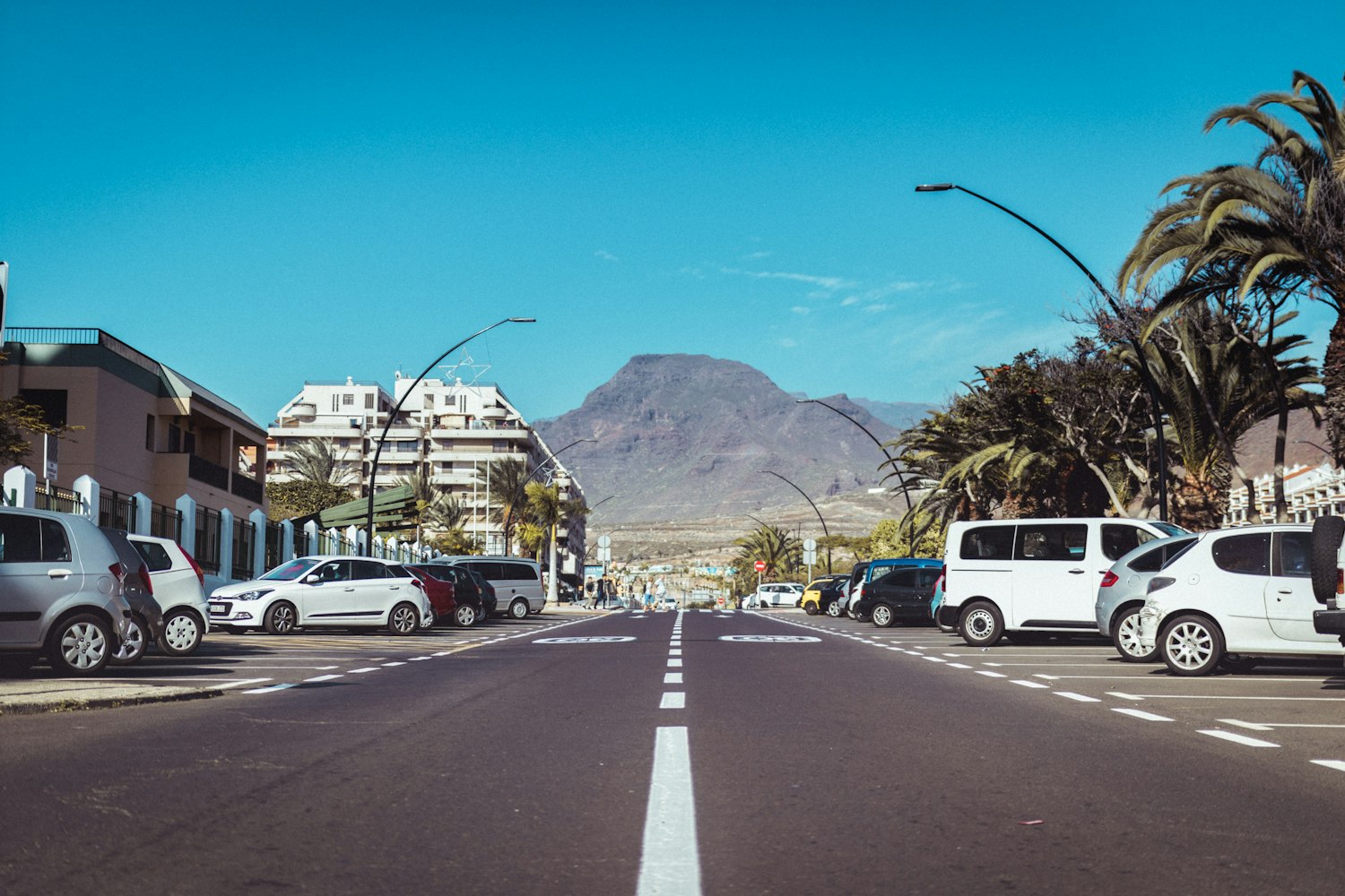今年端午高速路是否免费？最新政策解读与出行指南