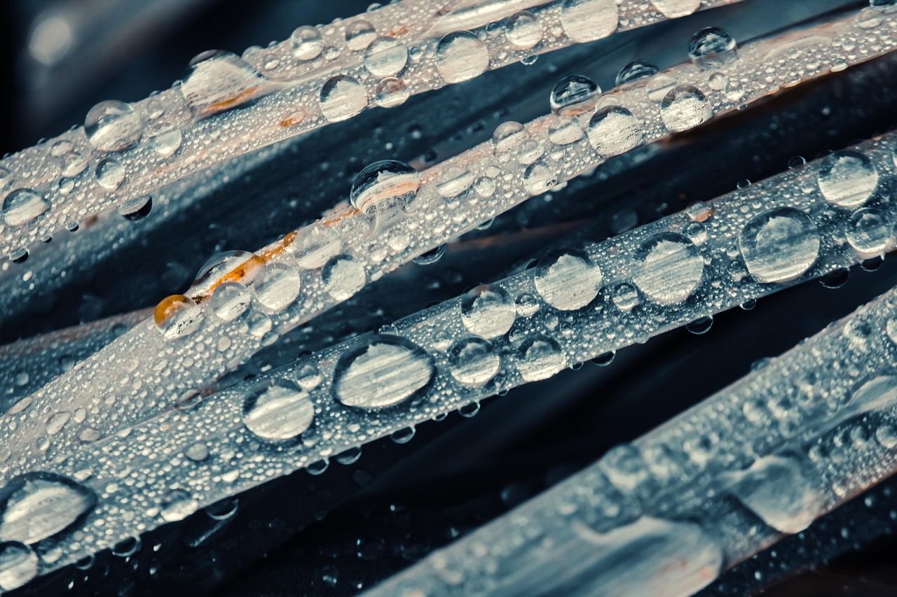 一分钟实测分享“皇豪大厅如何购买房卡”获取房卡教程-哔哩哔哩 一分钟实测分享“皇豪大厅如何购买房卡”获取房卡教程-哔哩哔哩