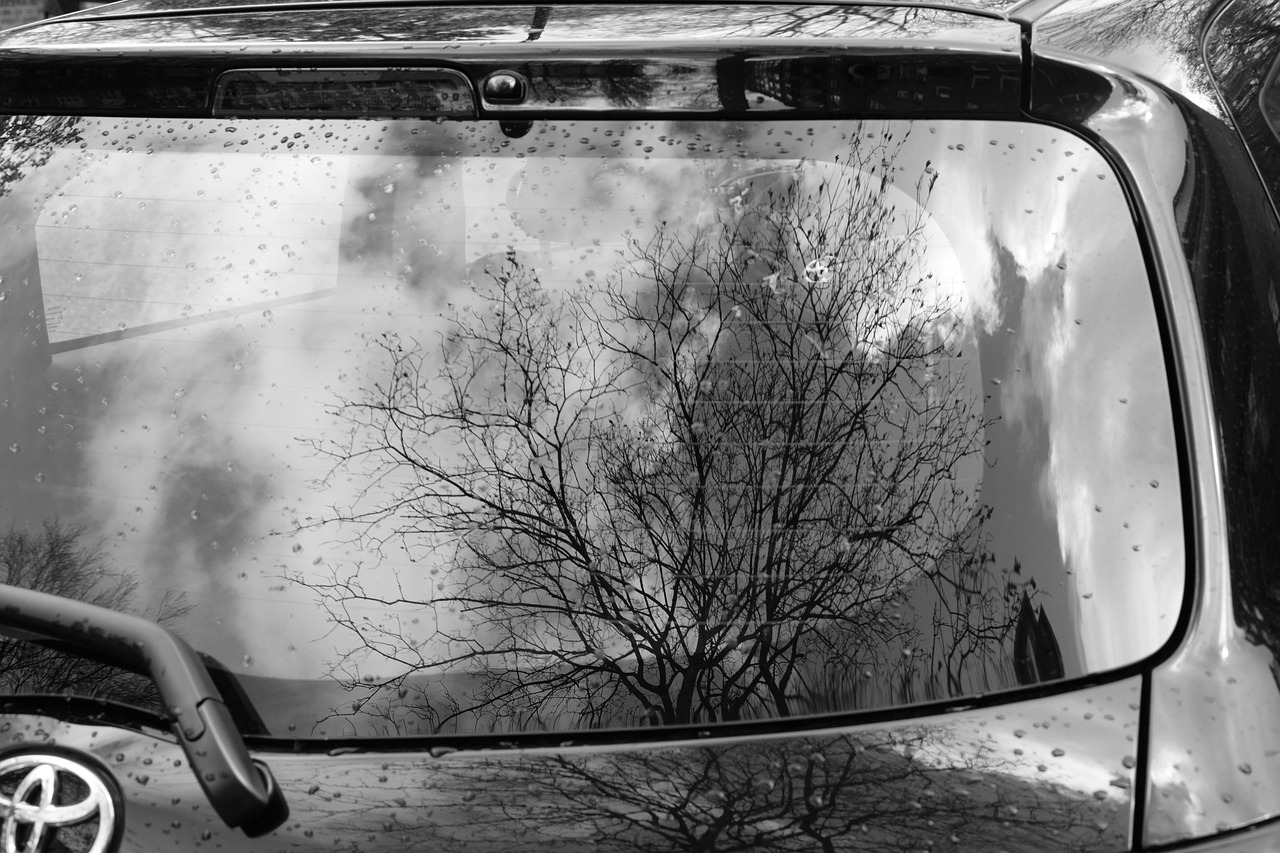 全面恢复，在破碎中重塑，于静默中新生