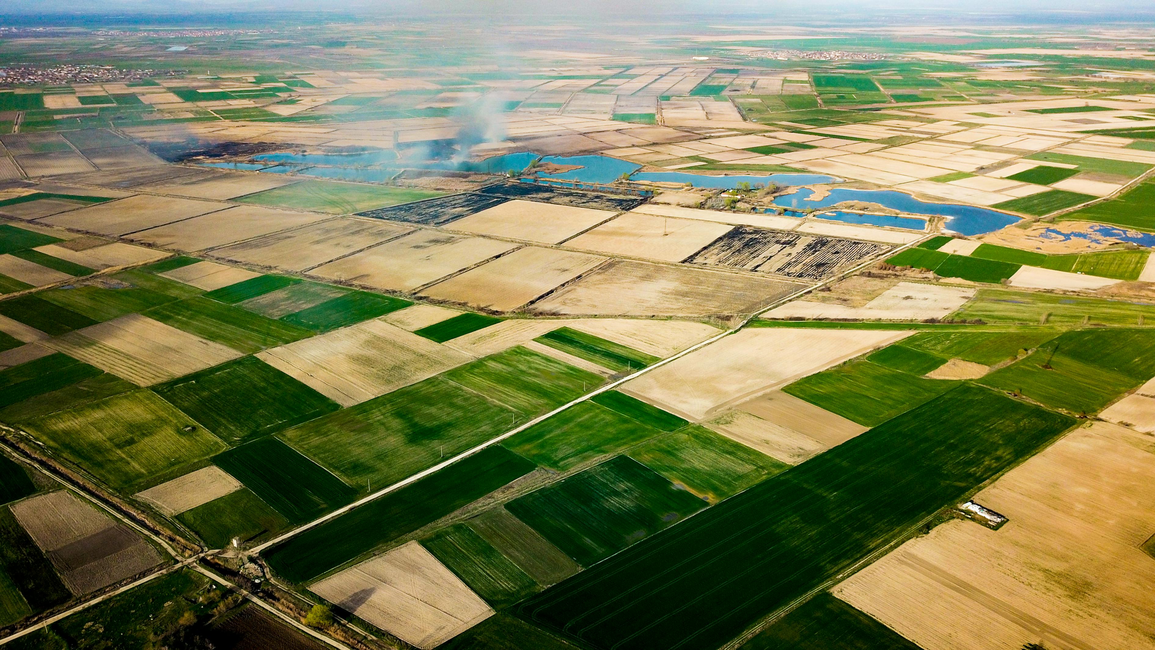 秒懂教程“狂飙大厅牛牛金花房卡”轻松获取房卡全渠道