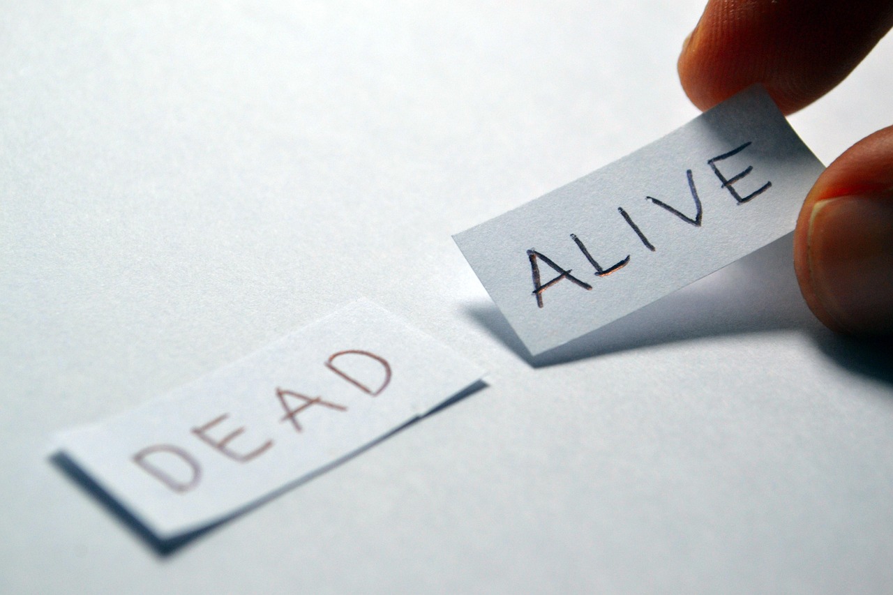 房卡必备教程“金华房卡在哪买”房卡获取方式