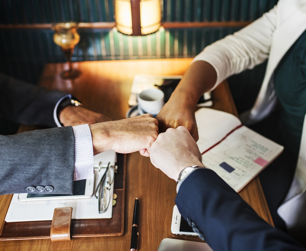 全球拉响警报，最新禽流感疫情态势分析与防控策略透视