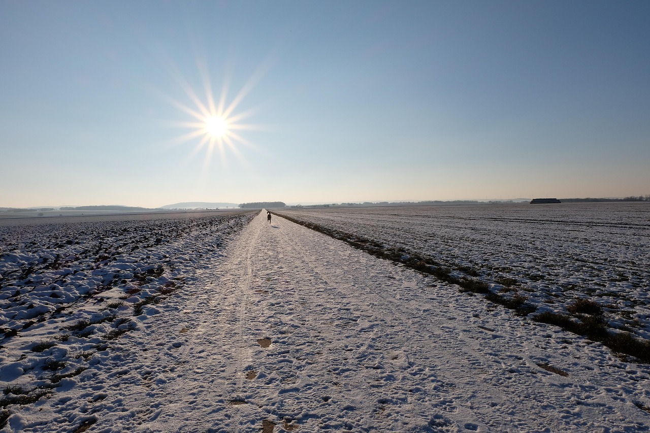 一分钟介绍使用“蜜瓜大厅拼三张”房卡获取方式 一分钟介绍使用“蜜瓜大厅拼三张”房卡获取方式