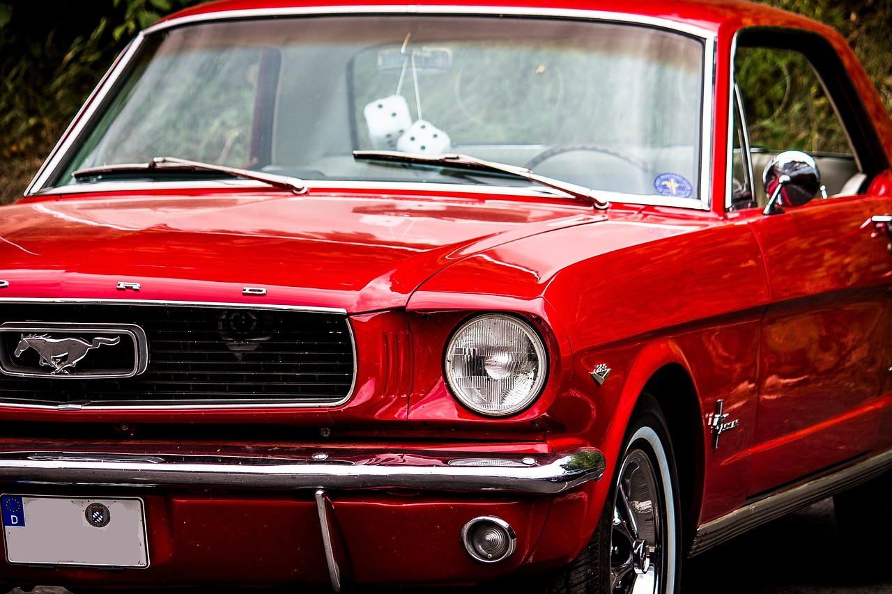 104辆公交车上的仙游保卫战 104辆公交车上的仙游保卫战