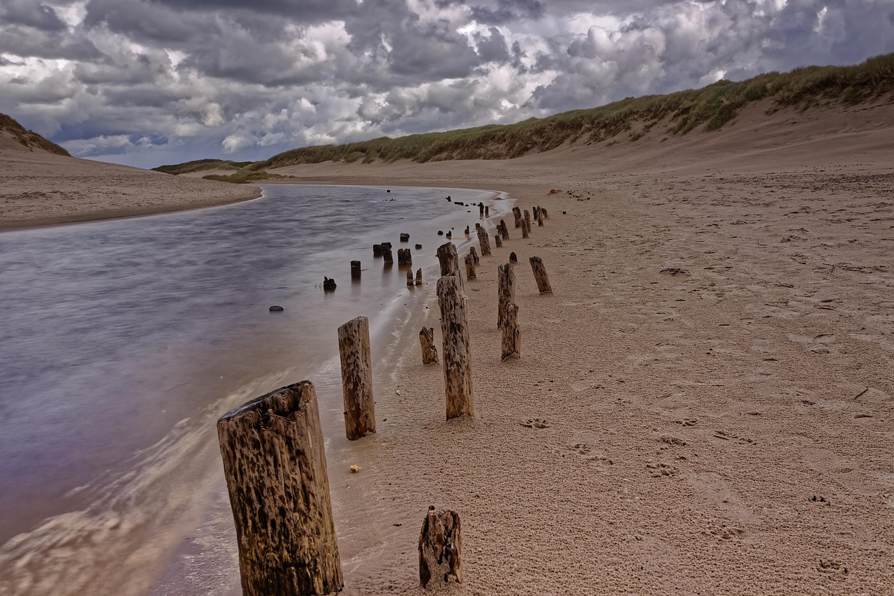 抚顺疫情封城时间,一段刻骨铭心的城市记忆与抗疫启示 抚顺疫情封城时间,一段刻骨铭心的城市记忆与抗疫启示