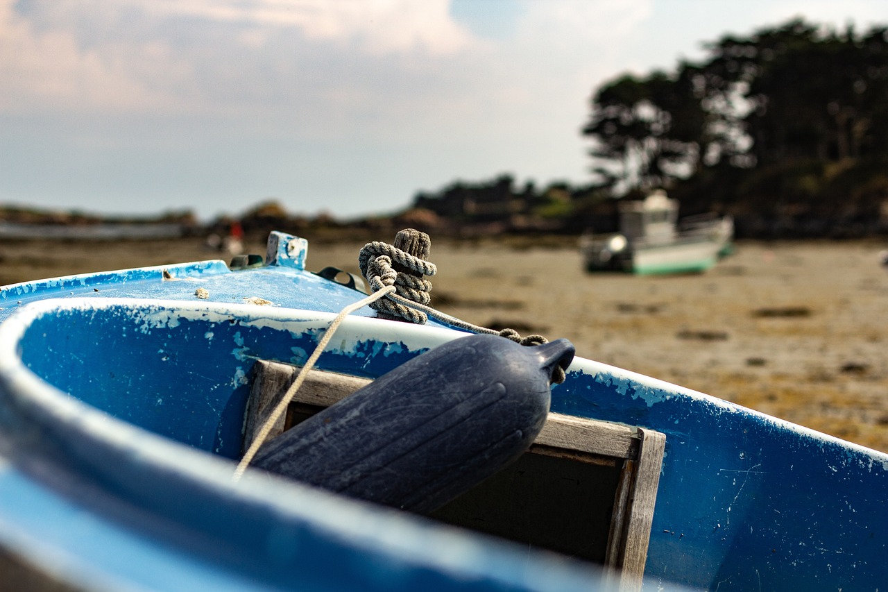 北京最新疫情地区动态,精准防控下的城市守护战 北京最新疫情地区动态,精准防控下的城市守护战