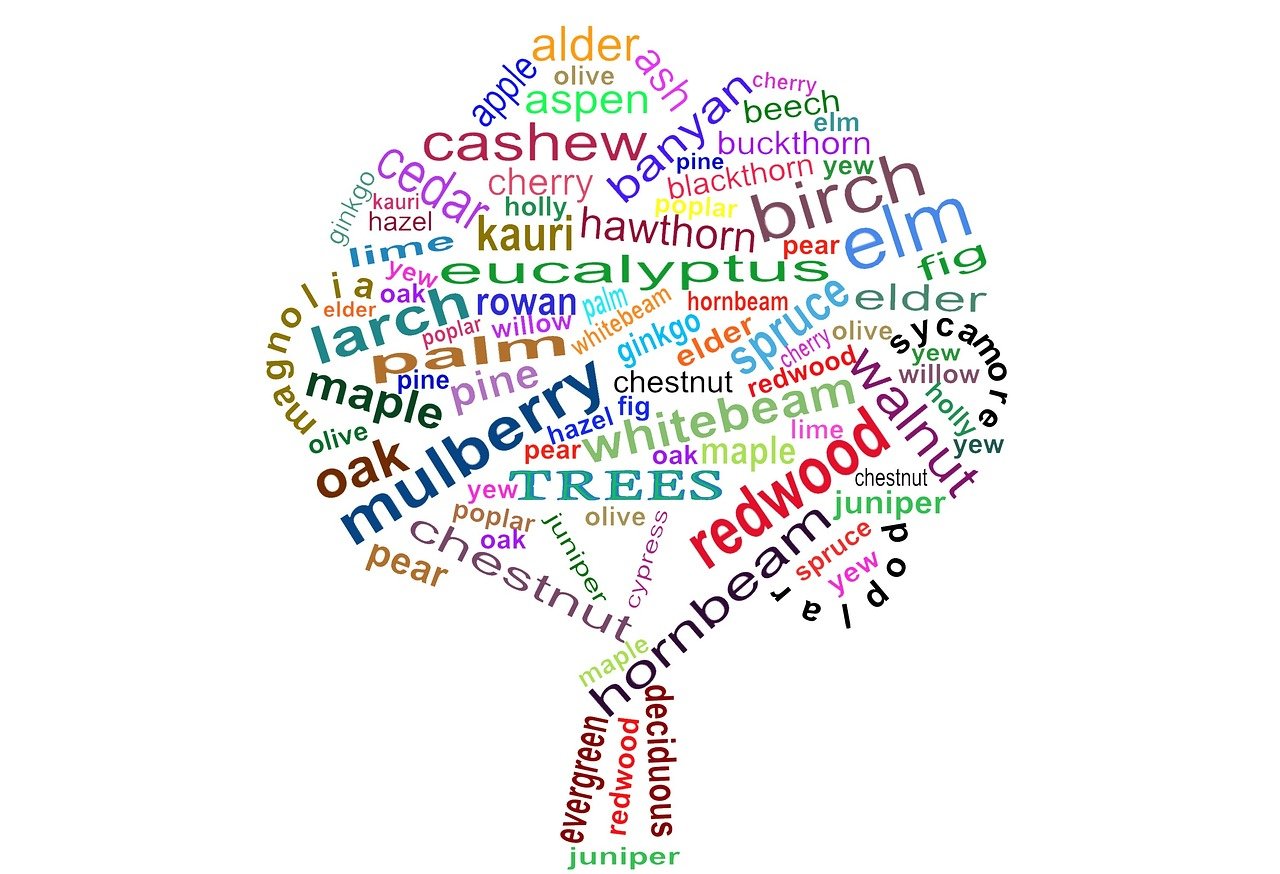 北京限号2022年8月最新限号时间详解，政策背景、实施规则与出行建议