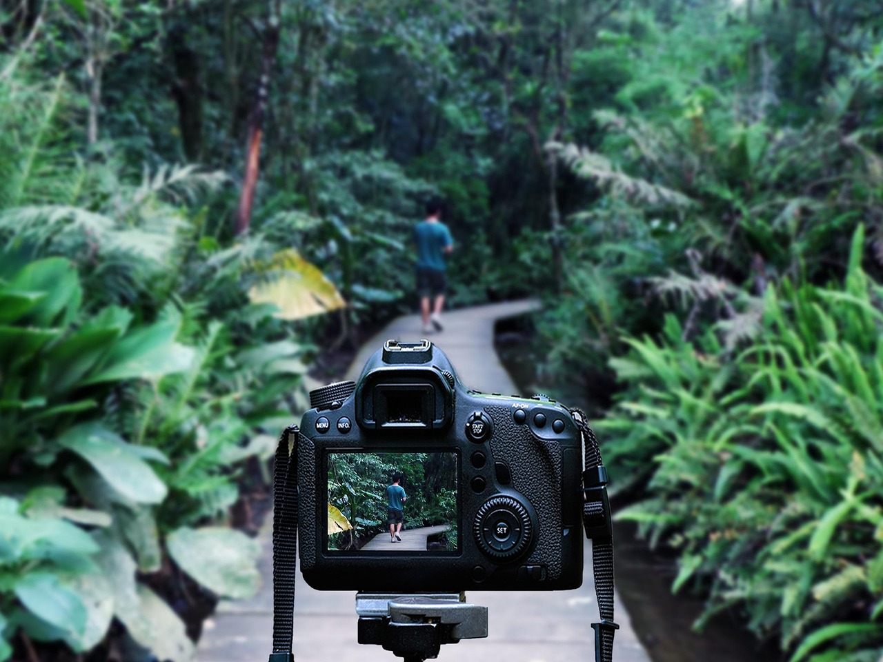 西安疫情最新动态，当前形势如何？今日深度解析